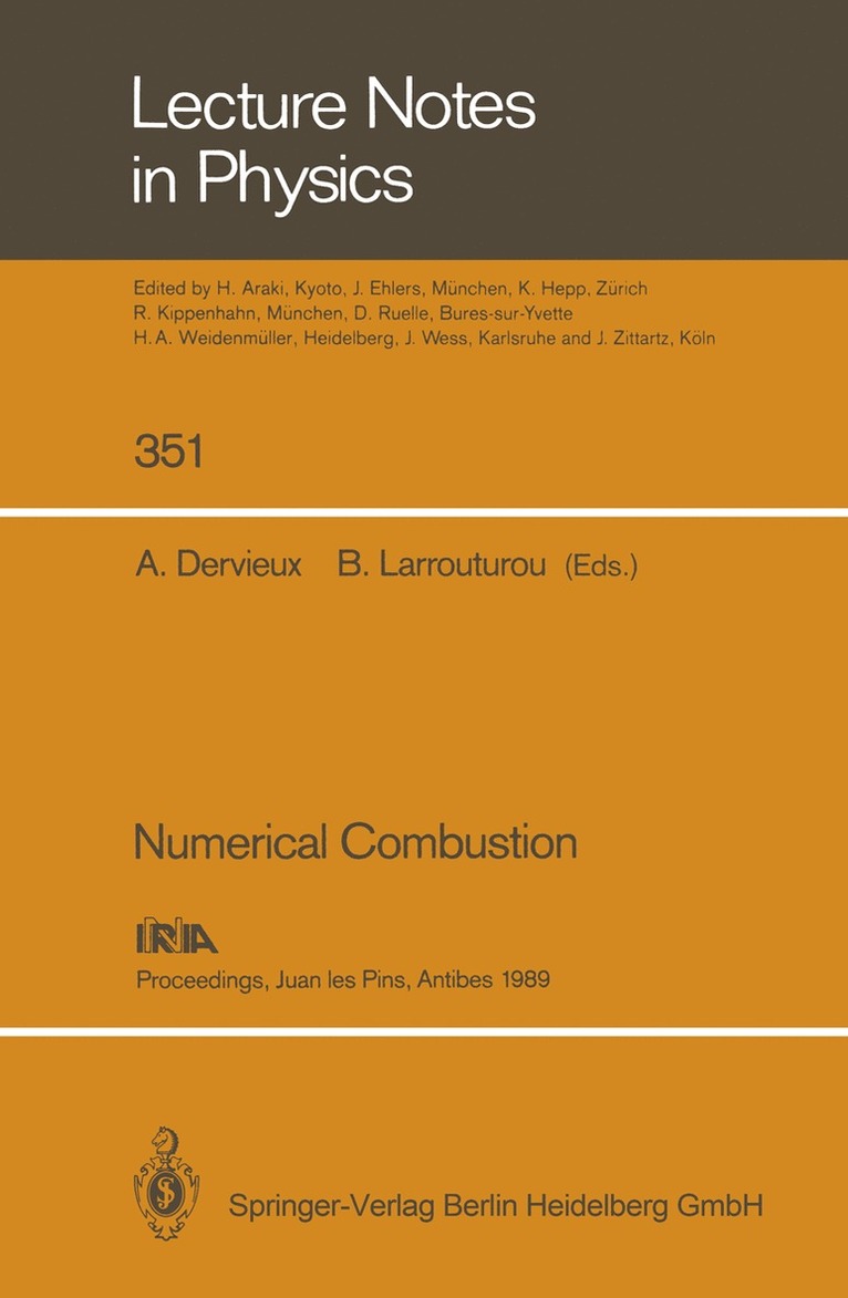 Alain Dervieux, Bernard Larrouturou - Numerical Combustion, Häftad
