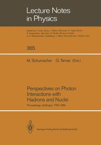 bokomslag Perspectives on Photon Interactions with Hadrons and Nuclei