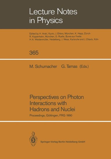 bokomslag Perspectives on Photon Interactions with Hadrons and Nuclei