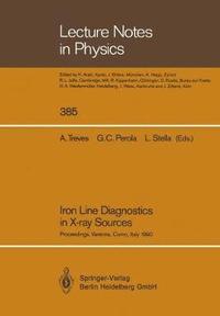 bokomslag Iron Line Diagnostics in X-ray Sources