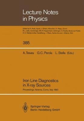 bokomslag Iron Line Diagnostics in X-ray Sources