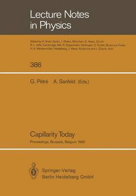 bokomslag Capillarity Today