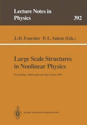 bokomslag Large Scale Structures in Nonlinear Physics