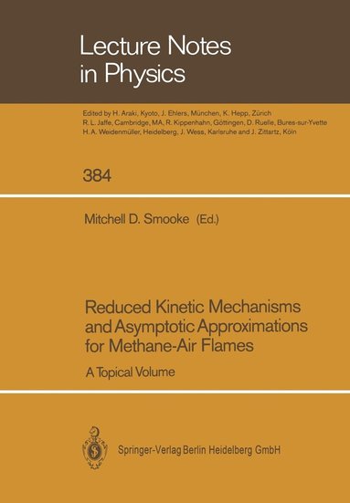bokomslag Reduced Kinetic Mechanisms and Asymptotic Approximations for Methane-Air Flames