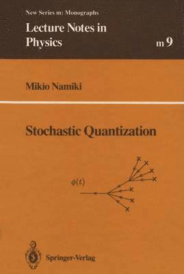 Mikio Namiki - Stochastic Quantization, Häftad