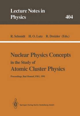 bokomslag Nuclear Physics Concepts in the Study of Atomic Cluster Physics