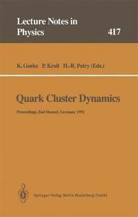 bokomslag Quark Cluster Dynamics