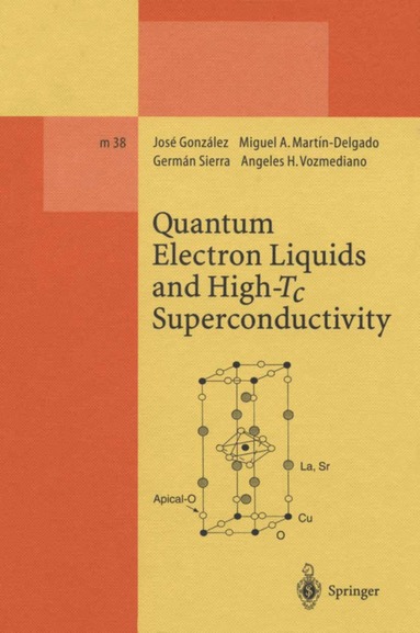 Jose Gonzalez, Miguel A. Martin-Delgado, German Sierra, Angeles H. Vozmediano - Quantum Electron Liquids and High-Tc Superconductivity, Häftad