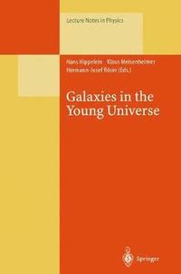 bokomslag Galaxies in the Young Universe