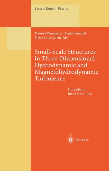 Maurice Meneguzzi, Annick Pouquet, Pierre-Louis Sulem - Small-Scale Structures in Three-Dimensional Hydrodynamic and Magnetohydrodynamic Turbulence, Häftad