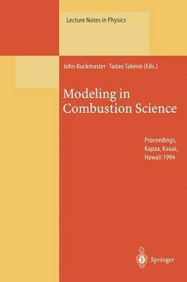 Modeling in Combustion Science