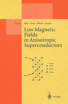 bokomslag Low Magnetic Fields in Anisotropic Superconductors