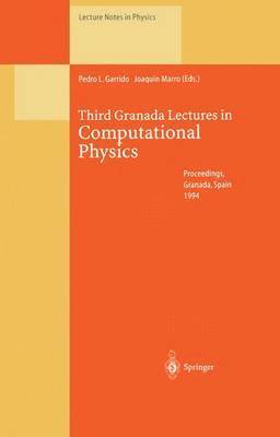 bokomslag Third Granada Lectures in Computational Physics