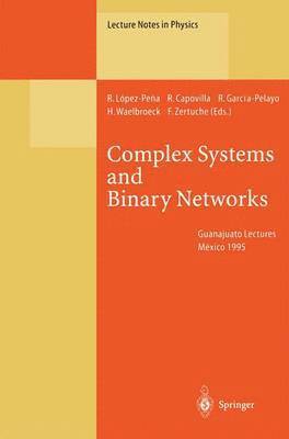 Complex Systems and Binary Networks 1