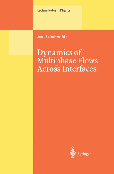 bokomslag Dynamics of Multiphase Flows Across Interfaces