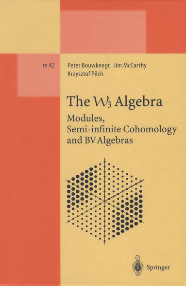 Peter Bouwknegt, Jim McCarthy, Krzysztof Pilch - W3 Algebra, Häftad