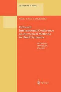 bokomslag Fifteenth International Conference on Numerical Methods in Fluid Dynamics