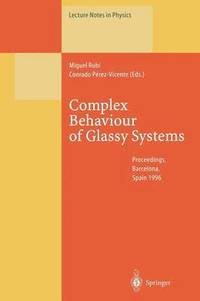 bokomslag Complex Behaviour of Glassy Systems