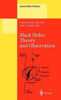 bokomslag Black Holes: Theory and Observation
