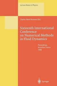 bokomslag Sixteenth International Conference on Numerical Methods in Fluid Dynamics