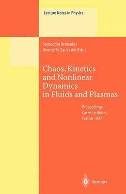 bokomslag Chaos, Kinetics and Nonlinear Dynamics in Fluids and Plasmas