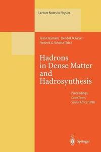 bokomslag Hadrons in Dense Matter and Hadrosynthesis
