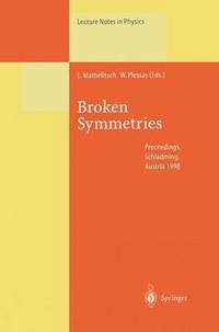 bokomslag Broken Symmetries