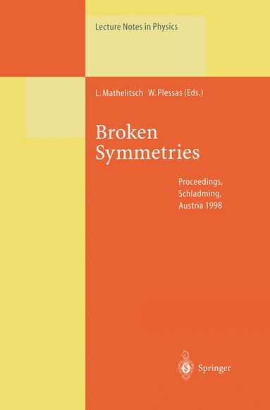 Leopold Mathelitsch, Willibald Plessas - Broken Symmetries, Häftad