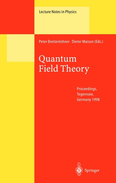 Peter Breitenlohner, Dieter Maison - Quantum Field Theory, Häftad