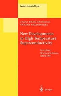 bokomslag New Developments in High Temperature Superconductivity
