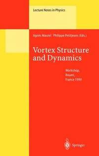 bokomslag Vortex Structure and Dynamics