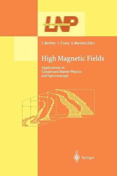 bokomslag High Magnetic Fields