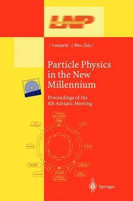 Josip Trampetic, Julius Wess - Particle Physics in the New Millennium, Häftad