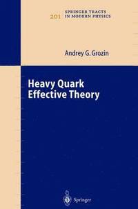 bokomslag Heavy Quark Effective Theory