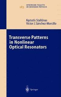 bokomslag Transverse Patterns in Nonlinear Optical Resonators