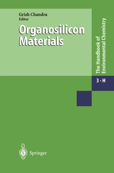 bokomslag Organosilicon Materials