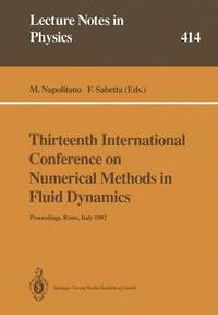 bokomslag Thirteenth International Conference on Numerical Methods in Fluid Dynamics
