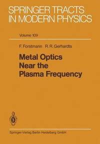 bokomslag Metal Optics Near the Plasma Frequency