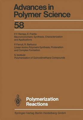 bokomslag Polymerization Reactions