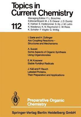 bokomslag Preparative Organic Chemistry