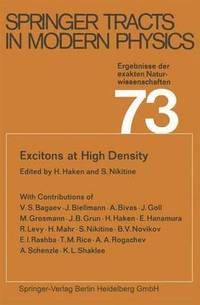 bokomslag Excitons at High Density
