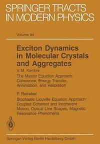 bokomslag Exciton Dynamics in Molecular Crystals and Aggregates