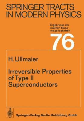 bokomslag Irreversible Properties of Type II Superconductors