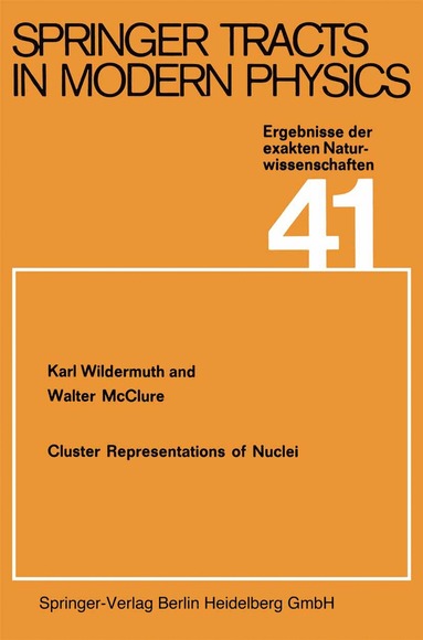 bokomslag Cluster Representations of Nuclei