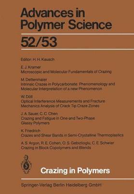 bokomslag Crazing in Polymers