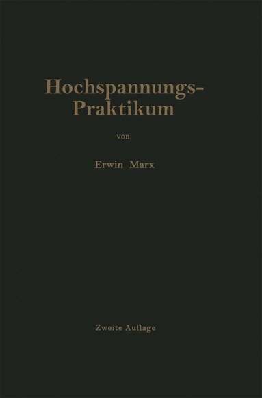 bokomslag Hochspannungs-Praktikum