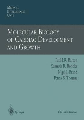 bokomslag Molecular Biology of Cardiac Development and Growth