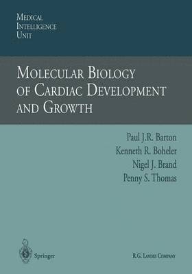 Molecular Biology of Cardiac Development and Growth 1