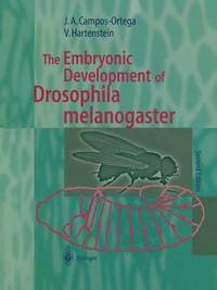 bokomslag The Embryonic Development of Drosophila melanogaster
