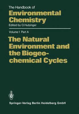 Otto Hutzinger - Natural Environment and the Biogeochemical Cycles, Häftad